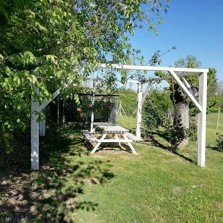 Domus Mori Holiday home Orciano di Pesaro